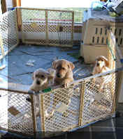 Who's Relaxing? We didn't get any food. Can we get a little grub?