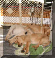 Must be time to go, everyone is sleepy. Bye bye. Happy Easter. 