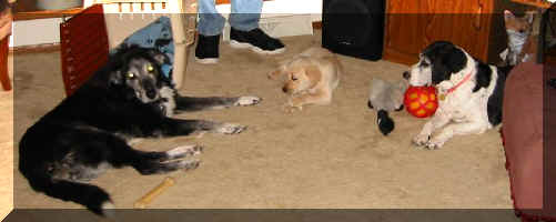 Hey! How'd Those shoes get in this Picture?