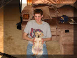 Hey! Look at Me! I'm a Lap Dog! Yeah, that's it a Lap Dog!