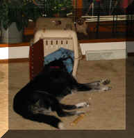 Ah, Ah, I'll just sleep in here a while. No one will find me, heh, heh.