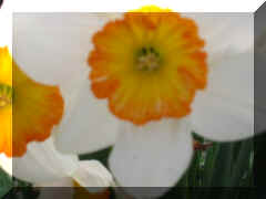 Time for an Extreme close up. 