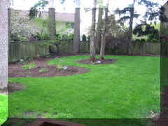 IMG_1623.JPG (846480 bytes)