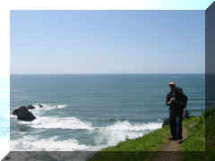 Sea Cliffs - get it Sea Cliffs like see the cliffs on the sea 